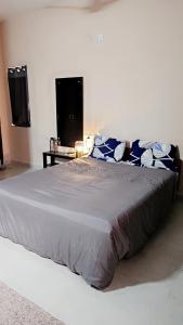 海得拉巴Ruchika's Orchid的一间卧室配有一张带蓝白色枕头的大床