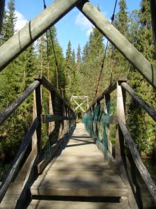凯米耶尔维the old school of halosenranta的树林中一条河流上的吊桥
