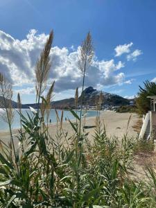 斯基罗斯岛Skyros Seafront Getaway-A step away to the sea的一片海滩,在前方种植一些植物