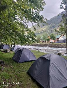 帕哈尔加姆RIVERFRONT CAMPS AND HIKES的一群帐篷坐在河边的草丛中