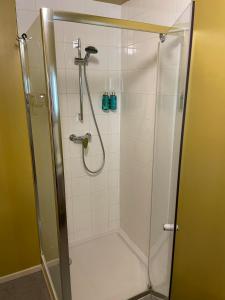 那慕尔La Majolique的淋浴间设有玻璃门和淋浴