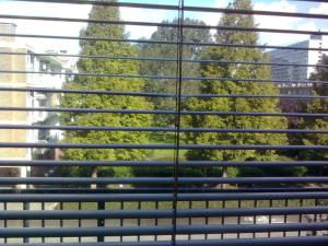 阿姆斯特丹Studio 99的透过窗户的百叶窗欣赏树木美景