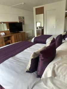 纽基Magnuson Hotel Sandy Lodge Newquay的酒店客房设有两张床和电视。