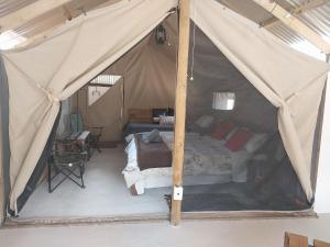 克兰威廉Kleinfontein的帐篷内一间卧室,配有一张床
