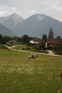 Bauernhof-Pension Puschnikhof平面图