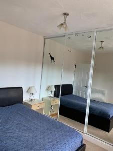 阿伯丁Beautiful 2-Bed Apartment in Aberdeen的一间卧室设有两张床,墙上有一面镜子和一只猫