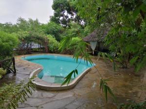基利菲Tropical Garden House的花园中的一个游泳池