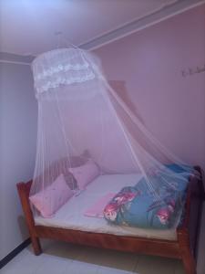 坎帕拉Pearl Furnished Rooms Buloba的一张带蚊帐的小床