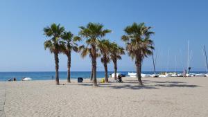 卡拉费尔Mandala apARTments的沙滩上的棕榈树