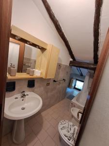 MagreglioMansardHouse zona Bellagio的一间带水槽和卫生间的浴室