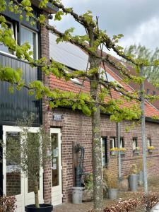 埃彭Landhuis Bovenste Bos的前面有树木的砖房
