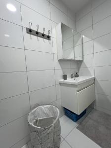 乌罗舍瓦茨City Center 1bedroom的一间带水槽、镜子和篮子的浴室