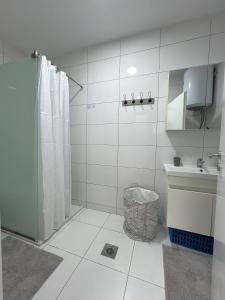乌罗舍瓦茨City Center 1bedroom的带淋浴和盥洗盆的白色浴室