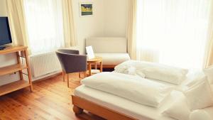 拉姆绍达赫斯坦Ramsauhof的客房设有两张床、一把椅子和电视。