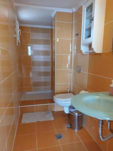 波利克罗诺Nefeli Seaside Apartments的带淋浴、卫生间和盥洗盆的浴室