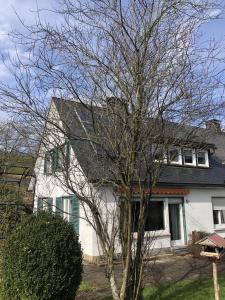 巴特贝勒堡Ferienhäuser am Wisentpfad的前面有一棵树的白色房子