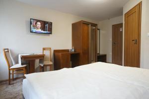 OlesnoHotel Alexandra的酒店客房设有一张床和墙上的电视