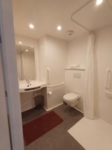 克莱苏伊CRYSTAL HOTEL的一间带卫生间、水槽和镜子的浴室