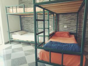 My Hostel in Dahab - Dive center客房内的一张或多张双层床