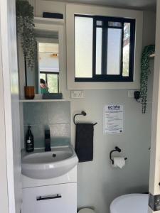 KanimblaTiny Nanook - Kanimbla Valley的一间带水槽和镜子的小浴室