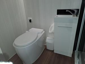 MacclesfieldGums n Roses的浴室配有白色卫生间和盥洗盆。