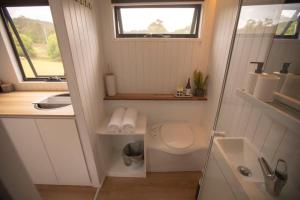 PerwillowenHill Creek Tiny House的一间带卫生间和水槽的小浴室
