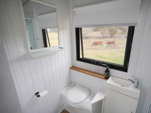 库纳巴拉布兰Little Argyle Tiny House的一间带卫生间、水槽和窗户的浴室