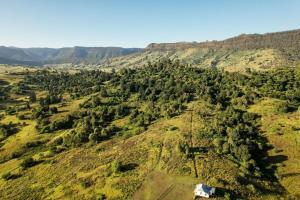 DarlingtonFig Tree Cottage的享有山上的空中景色,上面有树木