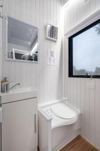 AshbourneLeft Field Tiny House的白色的浴室设有水槽和窗户。