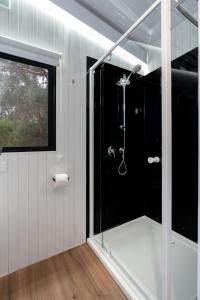 AshbourneLeft Field Tiny House的带窗户的浴室内的玻璃淋浴间