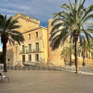 埃尔切Sol Mediterráneo Palm City的两棵棕榈树,在一座建筑前