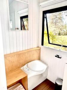 RangihaeataAroha Tiny House的一间带卫生间和窗户的小浴室