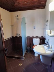 克尔贾利Вили Болярка的带淋浴、盥洗盆和卫生间的浴室