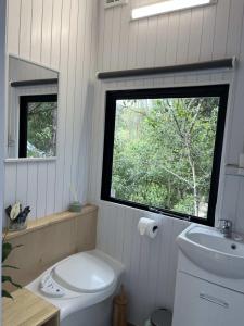 HerbertCosy Dell的一间带卫生间、水槽和窗户的浴室
