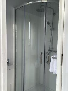 Otaki BeachRangiuru Stream Tiny home的浴室里设有玻璃门淋浴