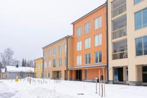 赫尔辛基Studio Brita的前面一排有雪的建筑