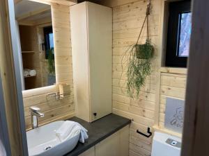 萨特勒特Lisi Grun Tiny House的一间带水槽和镜子的浴室