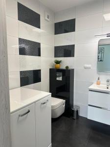 伊拉华Apartament NATURA z widokiem na jezioro的浴室配有白色卫生间和盥洗盆。
