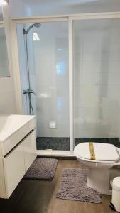 圣佩罗多索Vouga Lodge的带淋浴和卫生间的白色浴室