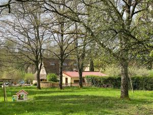 Magny-LormesGîte du Gué Maraud的草地上种着树木的院子和狗屋