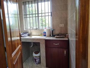 阿克拉Cozy Escape in Accra by Manna Hospital的一个带水槽和窗户的小厨房