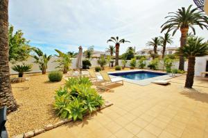 莫莱拉Golondrina - panoramic hillside holiday house in Moraira的一个带游泳池和棕榈树的后院