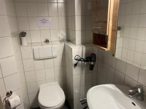 鲁波尔丁Hansenbauernhof的一间带卫生间和水槽的小浴室