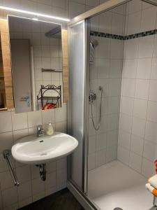 鲁波尔丁Hansenbauernhof的一间带水槽和淋浴的浴室