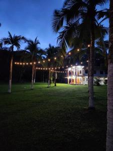 佩诺诺梅La Amistad agrotourism farm的一群棕榈树在一座灯火通明的房子前