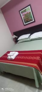 埃尔索韦维奥Hotel Don Enrique的一间卧室配有一张床铺,床上铺有红色毯子