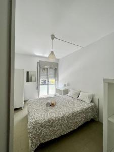 波尔图Smile4Porto Guest House的白色卧室,床上有猫