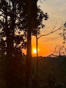 马迪凯里Shrenya Orchidz-Coorg Nature Stay的一片落日,在前方的树林中