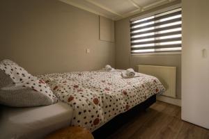ErmDrents Genieten - Lavendelheide met uitzicht op het water的一间卧室配有一张带波卡圆点床单的床和窗户。
