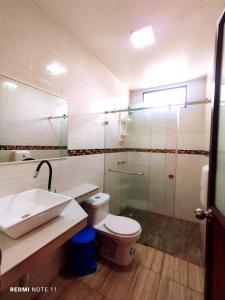 阿约拉港Hostal GalaHouse的浴室配有卫生间、盥洗盆和淋浴。